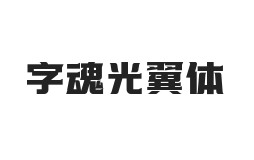 字魂光翼体