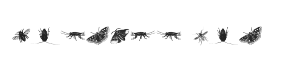 insects one